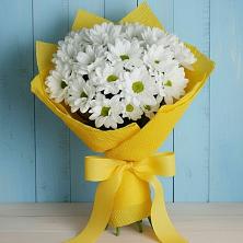 Букет цветов из:  Хризантемы в Дубки Одинцовского района