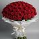Букет 101 Красная роза Блэк Мэджик в Дубки Одинцовского района