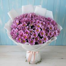Букет цветов из:  Хризантемы #REPLACE_PRED# Дубки Одинцовского района