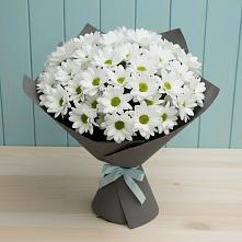 Букет цветов из:  Хризантемы #REPLACE_PRED# Дубки Одинцовского района