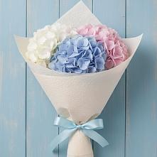 Букет цветов из:  Гортензия в Дубки Одинцовского района