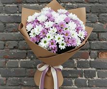 Букет цветов из:  Хризантемы в Дубки Одинцовского района