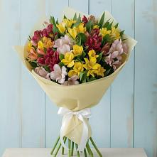 Букет цветов из:  Альстромерии в Дубки Одинцовского района