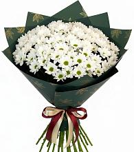 Букет цветов из:  Хризантемы #REPLACE_PRED# Дубки Одинцовского района