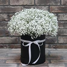 Цветочная композиция из Гипсофила в шляпной коробке в Дубки Одинцовского района