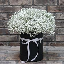 Цветочная композиция из Гипсофила в шляпной коробке в Дубки Одинцовского района