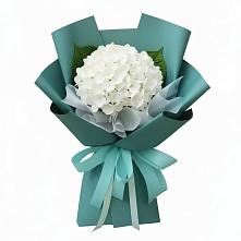 Букет цветов из:  Гортензия в Дубки Одинцовского района